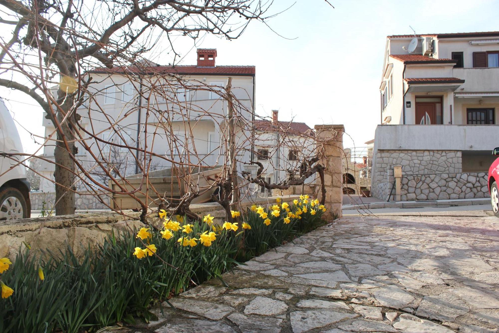 Vitkovic Apartamento *
